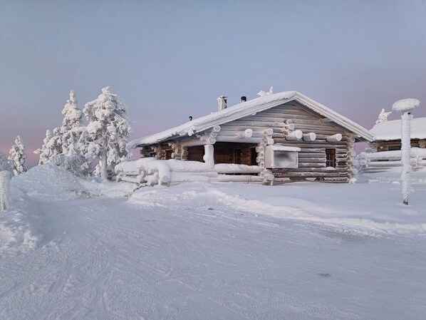 Ulkopuoli
