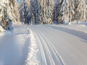 Sci e sport sulla neve