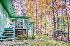 Back yard and back porch