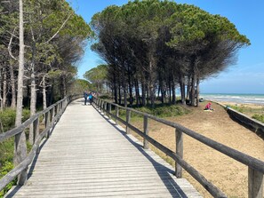 Strand