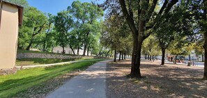 Pflanze, Himmel, Baum, Strassenbelag, Schatten, Natürliche Landschaft, Durchgangsstrasse, Gras, Landschaft, Asphalt