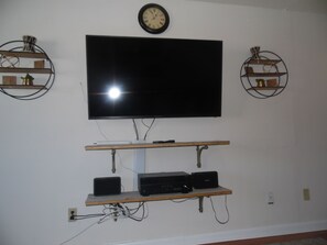 Television