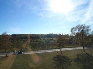 Ausblick