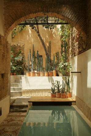 Alberca
