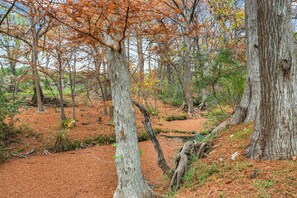 Rich scenery from the creek at the end of the property