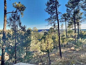 Gorgeous Balcony Views