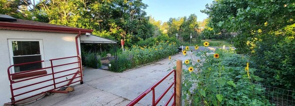 Summer Driveway 