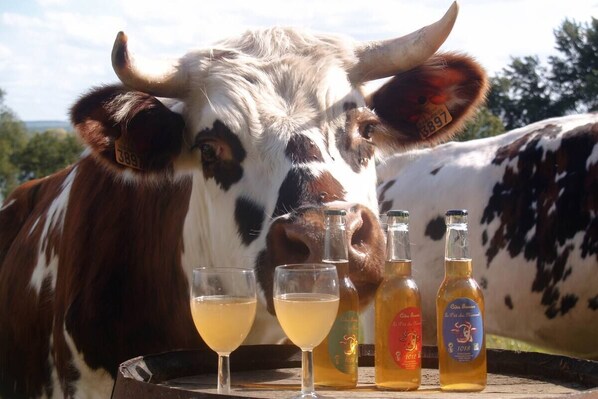 Essen und Trinken
