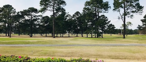 Beautiful golf course view!