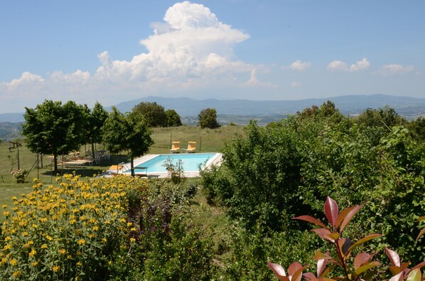 Theheated swimming pool is in front of the house at 50 steps