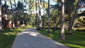 Property grounds