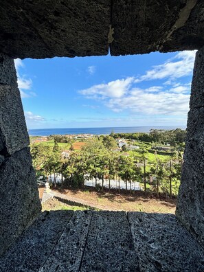 Vista desde la habitación