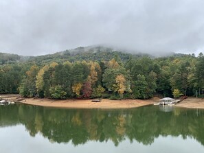 View from the back porch