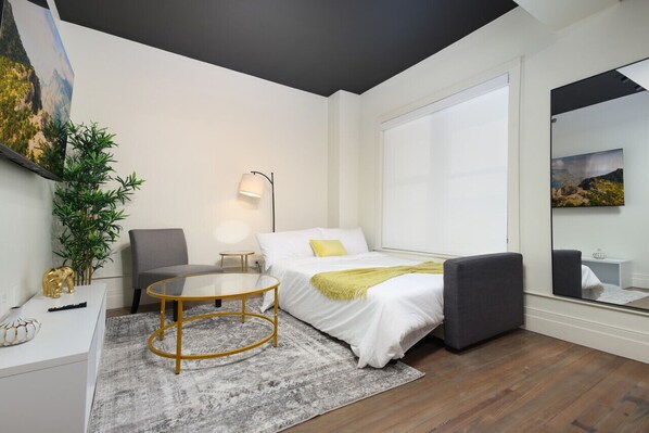 Your Living Area with Pullout Couch