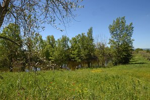 Boendeområde