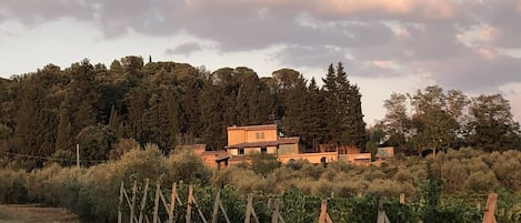 Casa Costarella