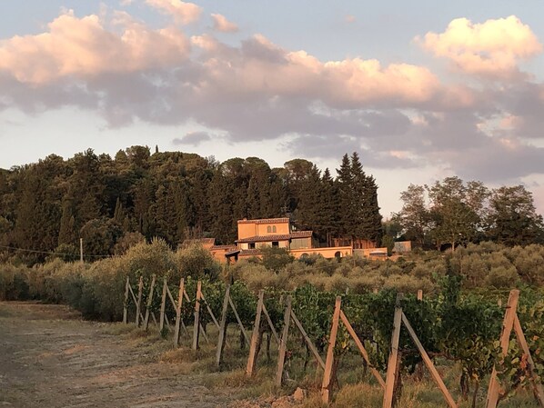 Casa Costarella