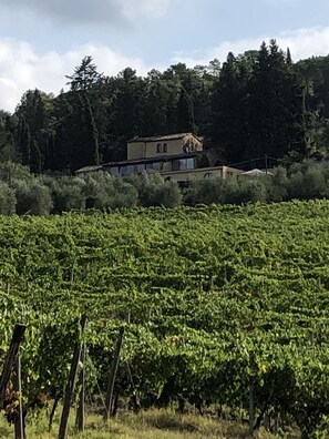 Casa Costarella