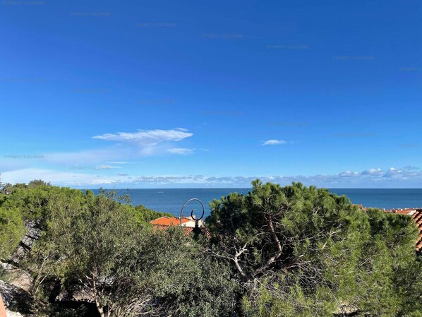 Beach/ocean view