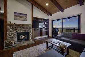 Great fireplace, wood provided, patio access