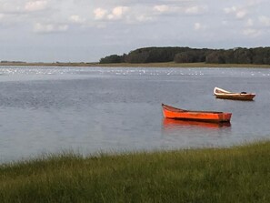 Image 56