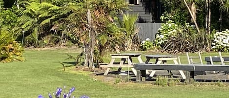 Nestled on the edge of Coromandel State Forest overlooking expansive yard