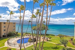 Dive into paradise at Kanai A Nalu! Our oceanfront pool and lush surroundings offer the ultimate Maui relaxation.