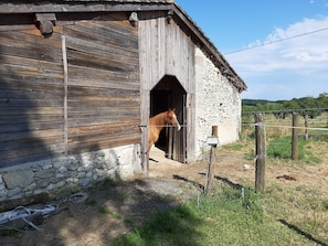 Área da propriedade