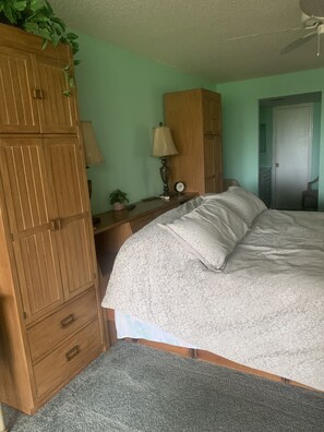 Master bedroom, with ensuite, walk-in closet and powder room (sink/mirror)