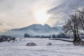 Snow and ski sports