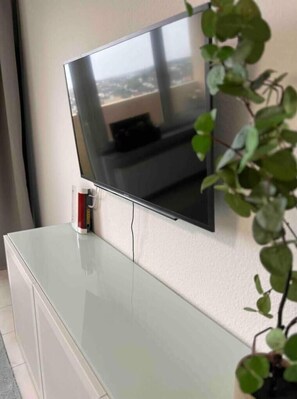 Television