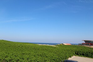 Meerblick