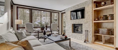 Mountain modern contemporary Living Room