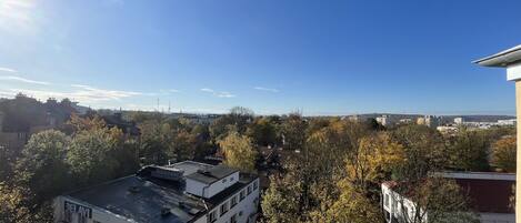 Vista desde la propiedad