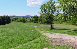 area