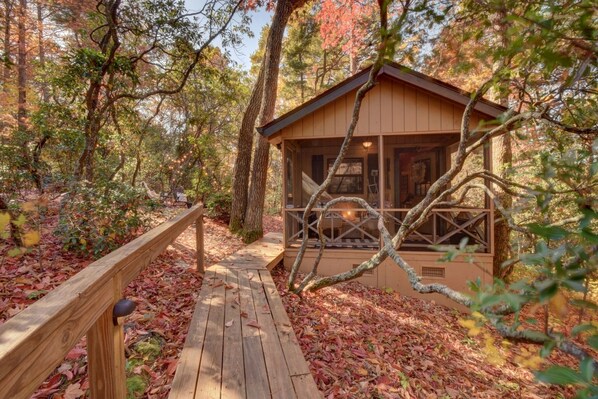 Cozy corners and woodland wonders. Taken in Fall