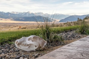 Magical Montana from your front porch!