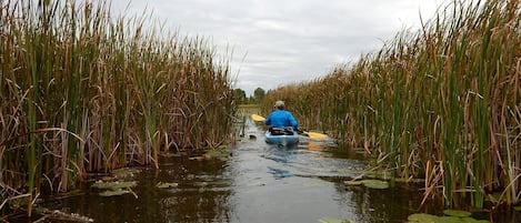 Terrain de l’hébergement 