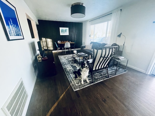 Living Room - dog not included