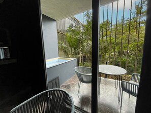 Elegant balcony featuring a luxurious plunge pool with naturally ambient water.