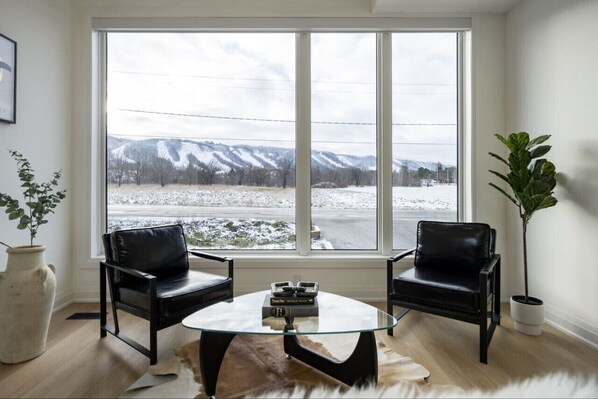 Looking out at The Blue Mountains from the Chalet