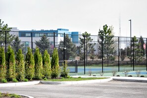 Pickleball Court