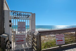 Vue sur la plage ou l’océan