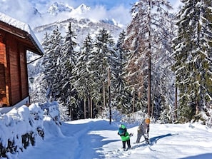 Almchalet Goldbergleiten