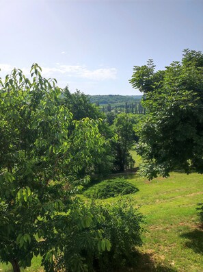 Boendeområde