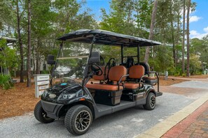 6 Seater Golf Cart Included with Your Rental!