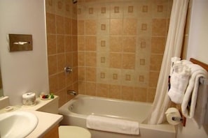 The bathroom features a lovely shower/tub combination.