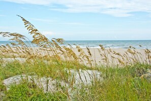 Oceanfront Beach View