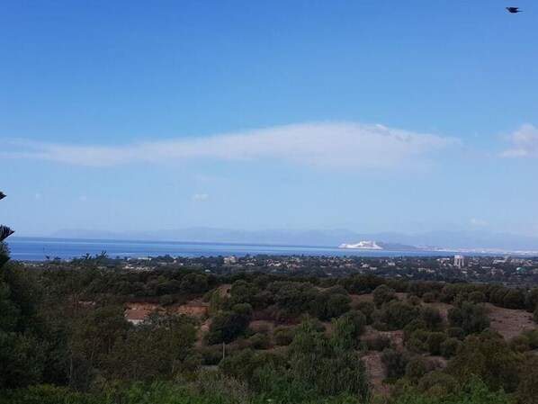 View from the terrace