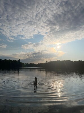 Enjoy a dip in Lake Oconto.